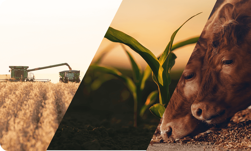 Introducing the New Agrimatics Website featured image